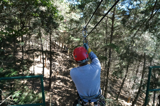 c) CANOPY FOREST EXPRESS