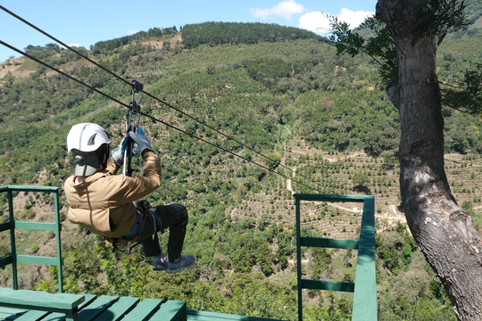 b) CANOPY CANYON EXPRESS