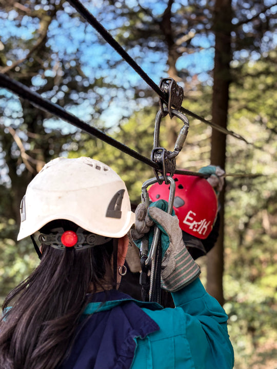 c) CANOPY FOREST EXPRESS