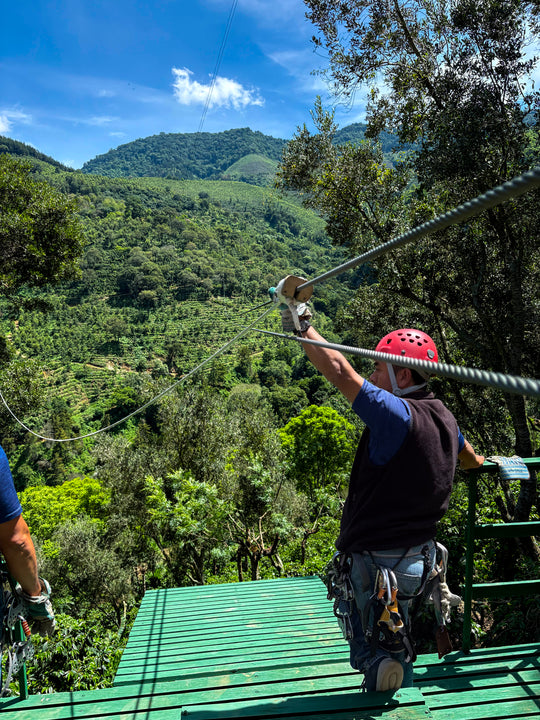 a) FOREST EXPRESS + CANYON EXPRESS