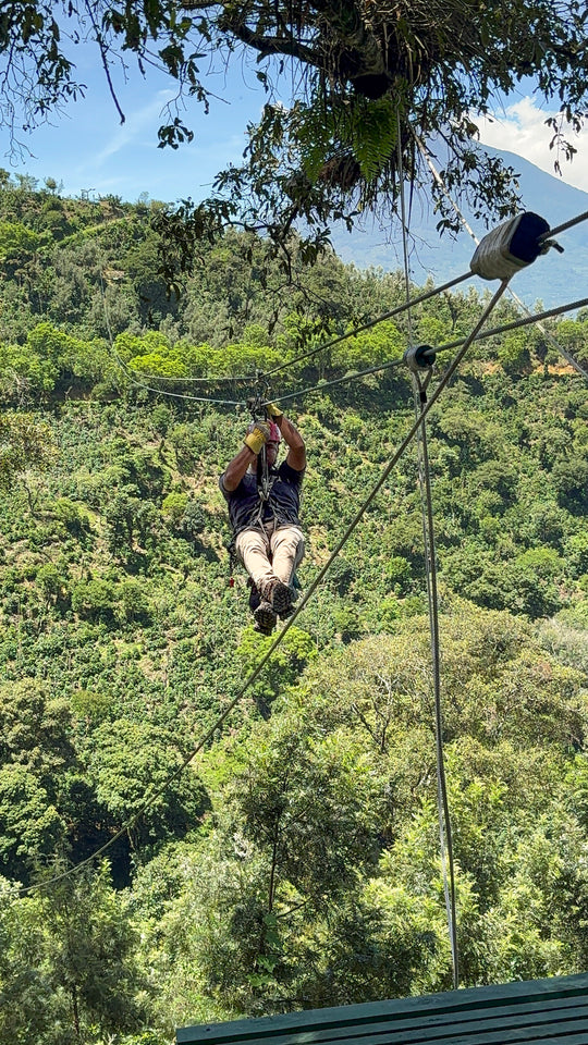 a) FOREST EXPRESS + CANYON EXPRESS